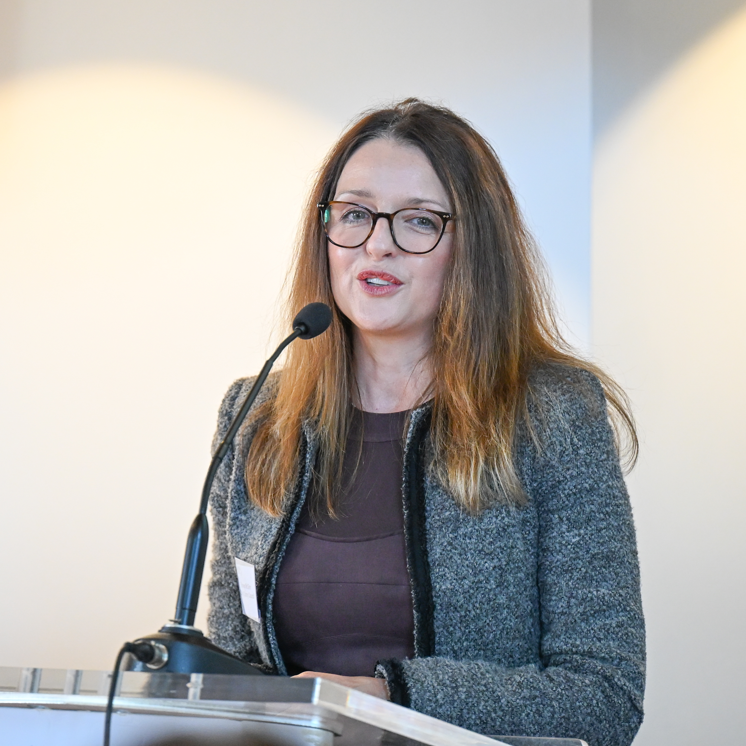 Picture of Eimear Mc Ginn presenting at the work shop