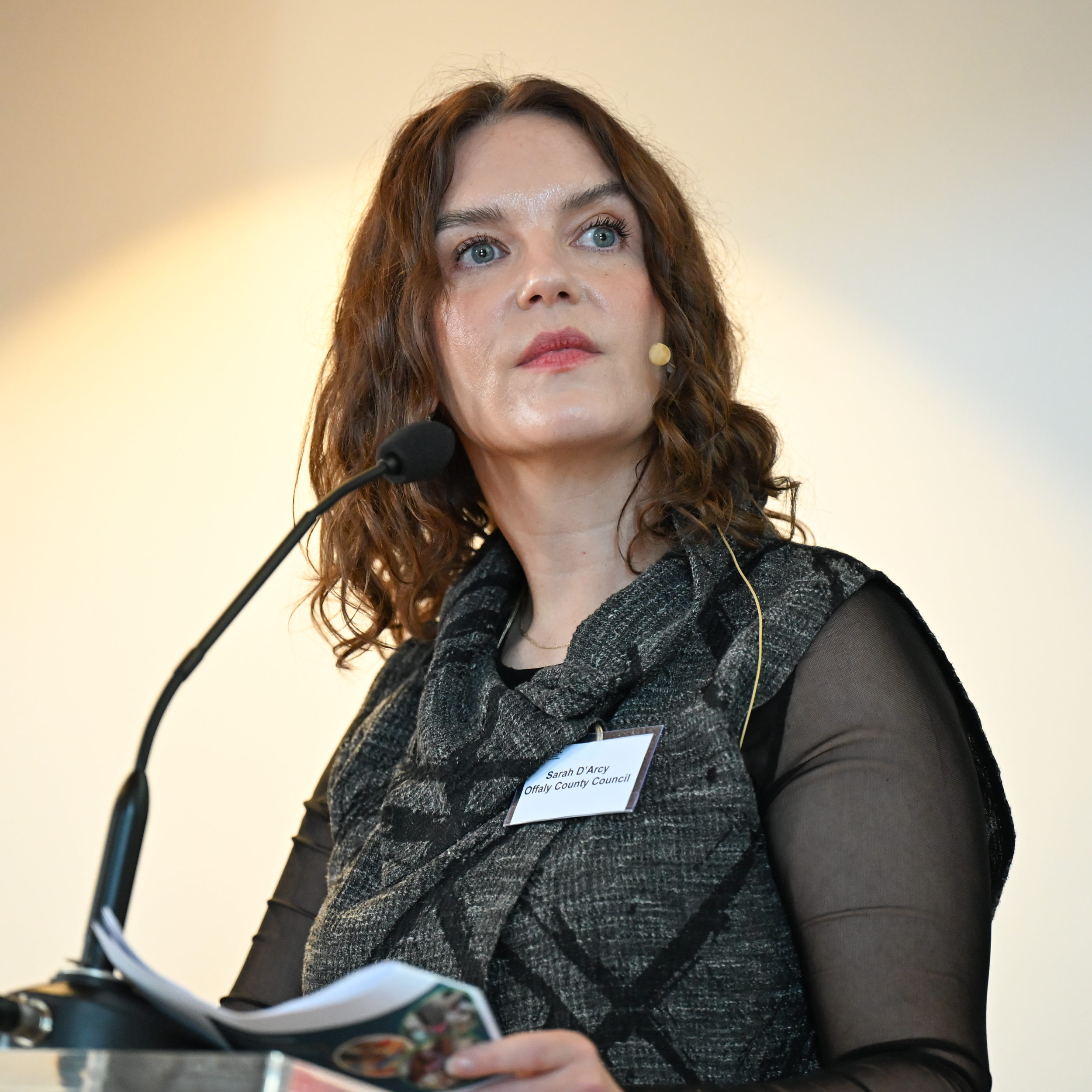 Picture of Sarah Darcy presenting at the workshop